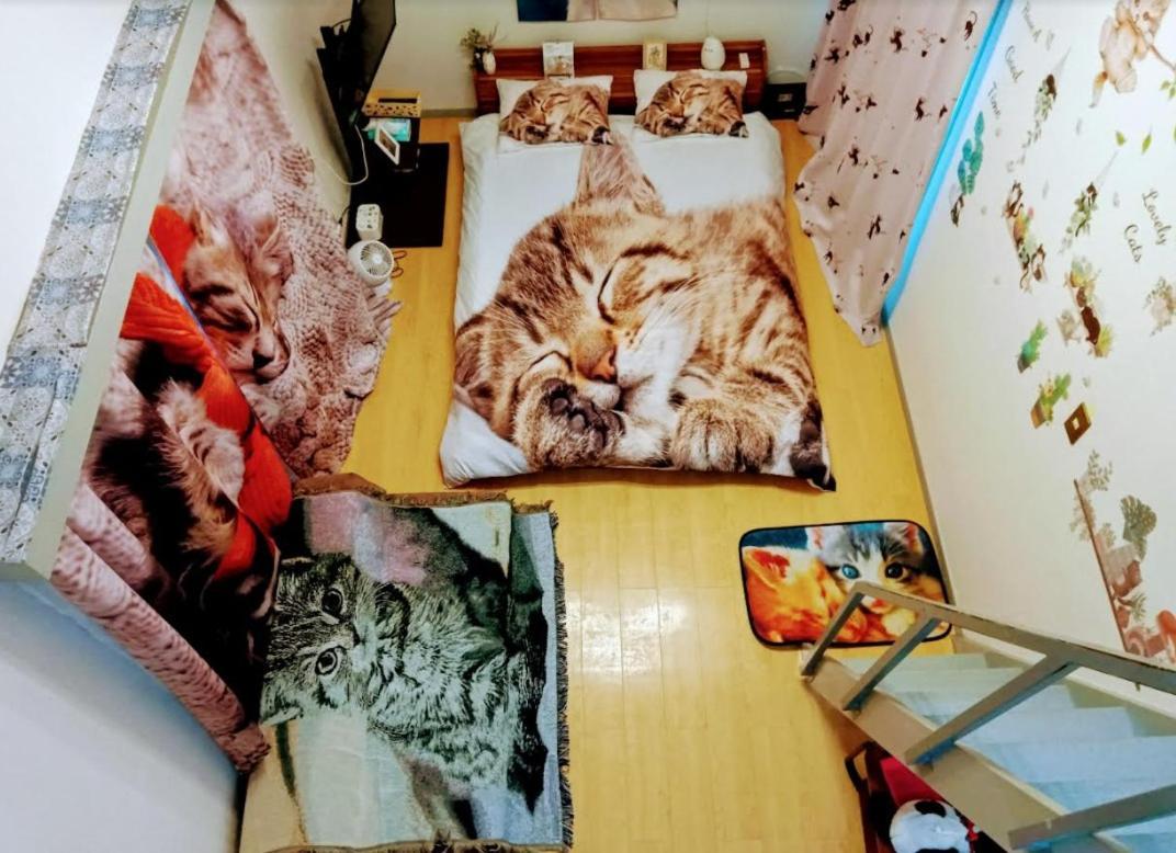Tokyo Shibuya Shinjyuku Cat House ! Apartment ภายนอก รูปภาพ