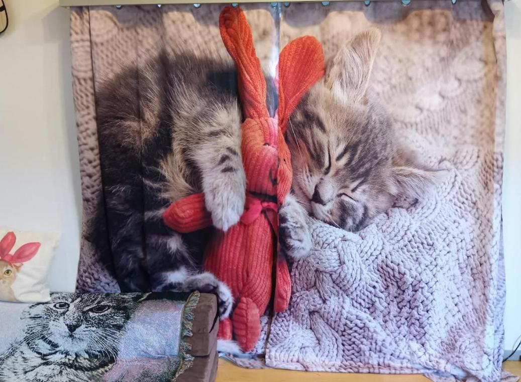 Tokyo Shibuya Shinjyuku Cat House ! Apartment ภายนอก รูปภาพ