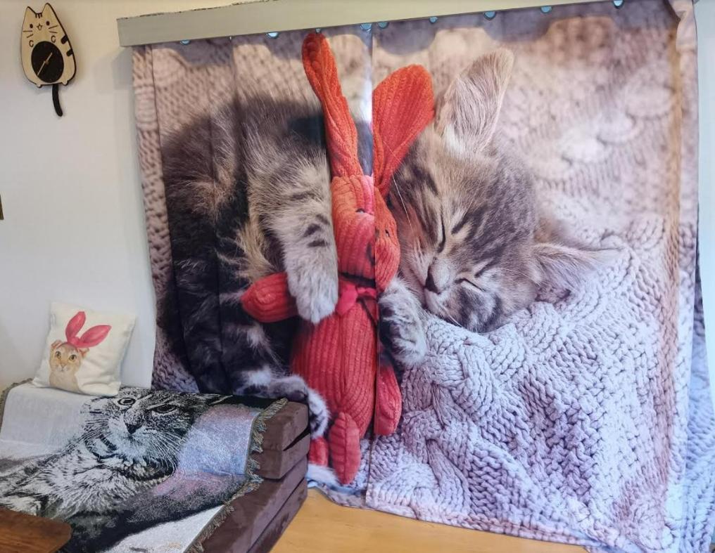 Tokyo Shibuya Shinjyuku Cat House ! Apartment ภายนอก รูปภาพ