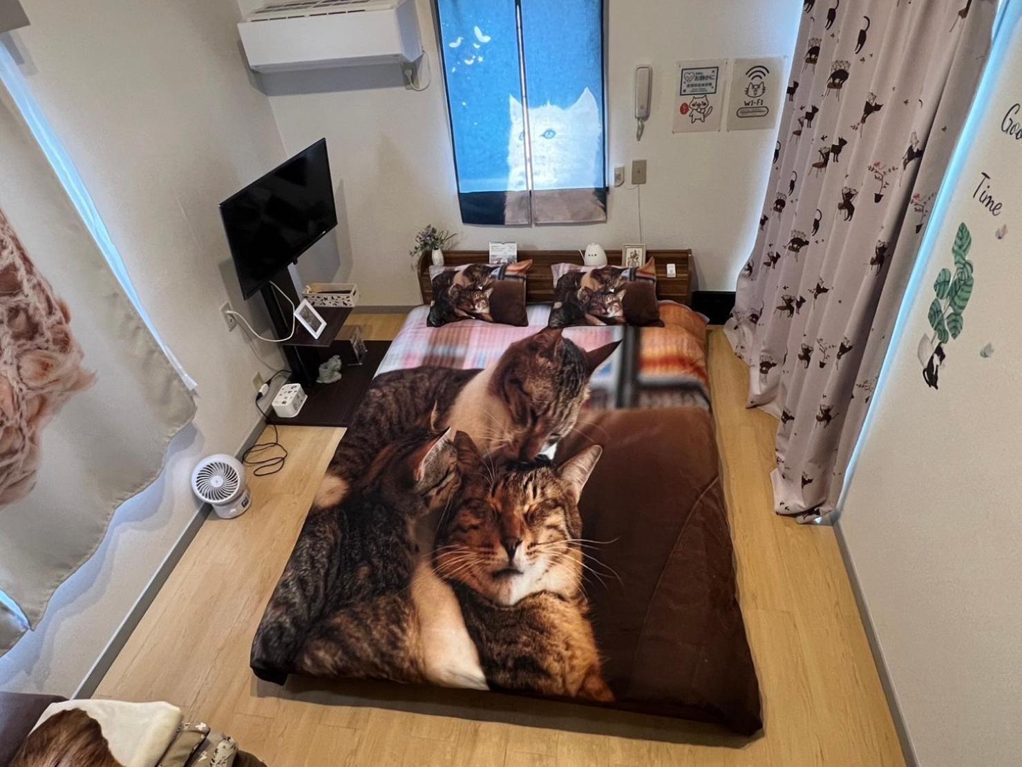 Tokyo Shibuya Shinjyuku Cat House ! Apartment ภายนอก รูปภาพ