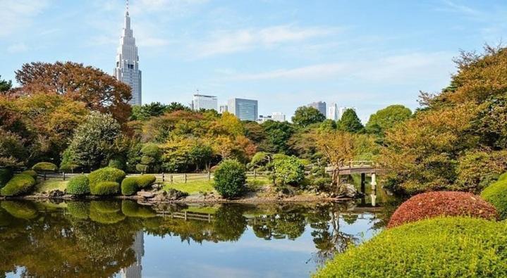 Tokyo Shibuya Shinjyuku Cat House ! Apartment ภายนอก รูปภาพ